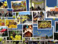 Europejskie Słoneczne Dni – wyjątkowo słoneczny maj w Polsce!